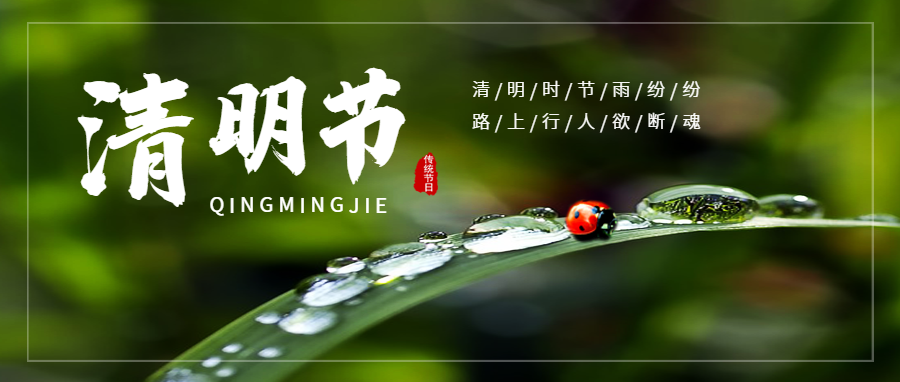 簡(jiǎn)約清明節(jié)眾號(hào)封面首圖1.png